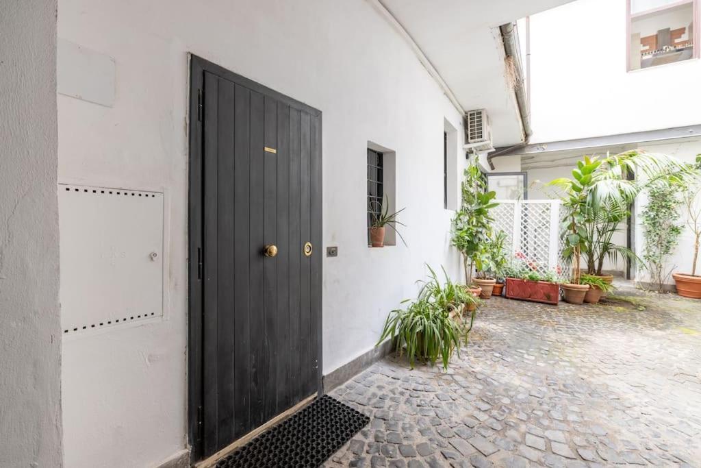 רומא Colosseum Charming Apartment מראה חיצוני תמונה
