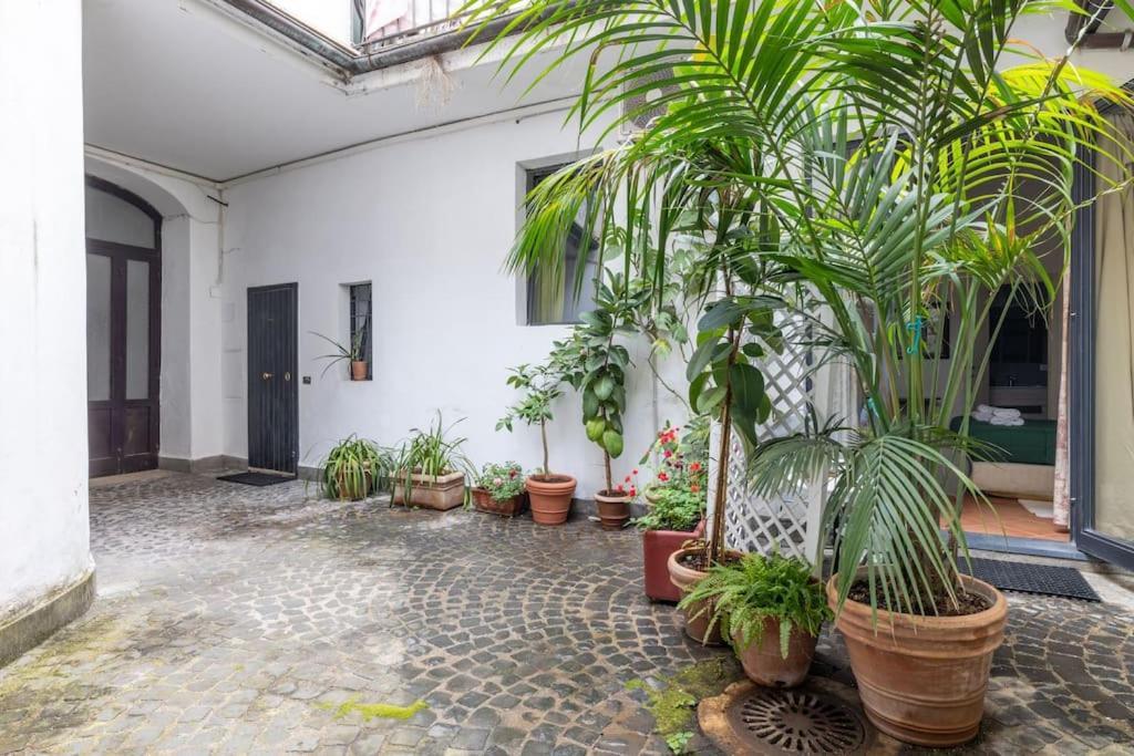 רומא Colosseum Charming Apartment מראה חיצוני תמונה